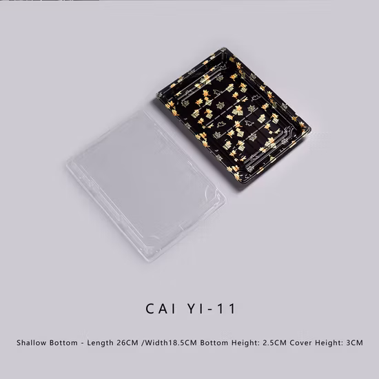 PET disposable plastic takeaway food containers